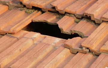 roof repair Shirl Heath, Herefordshire